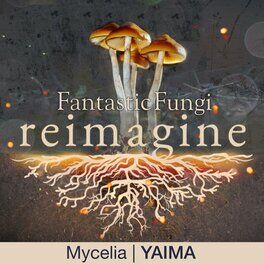 Album cover of Mycelia (Fantastic Fungi: Reimagine)