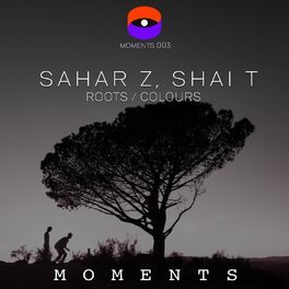 Album cover of Roots / Colours