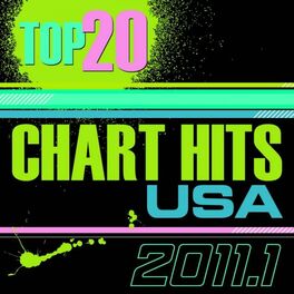 Album cover of Top 20 Chart Hits 2011_1 USA