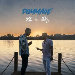 Album cover of Dommage