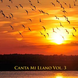 Album cover of Canta Mi Llano Vol 3