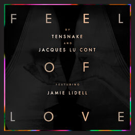 Album cover of Feel Of Love