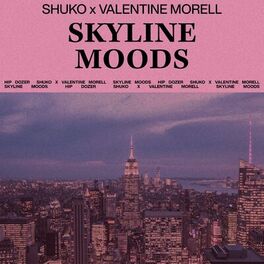 Album cover of Skyline Moods