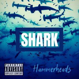 Album cover of Hammerheads