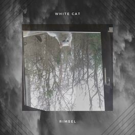 Album cover of White Cat