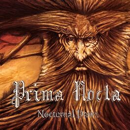 Album cover of Nocturnal Dawn
