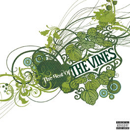 Album cover of Best Of The Vines
