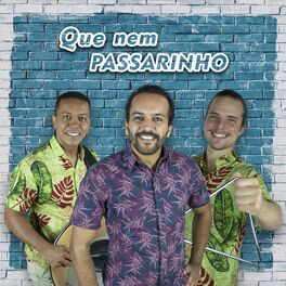 Album cover of Que Nem Passarinho