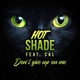 Album cover of Don't Give up on Me (feat. Cal)