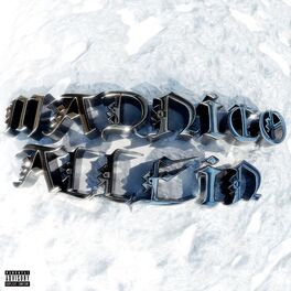 Album cover of Allein