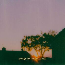 Album cover of songs for the breakup