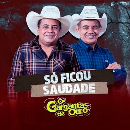 Album cover of Só Ficou Saudade (Ao Vivo)