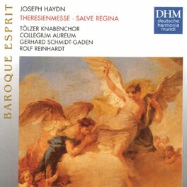 Album cover of Haydn: Theresienmesse, Salve Regina
