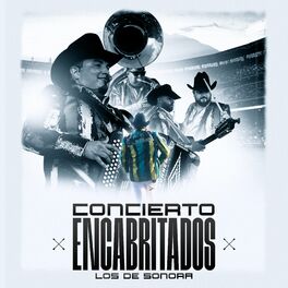 Album cover of Conciertos Encabritados