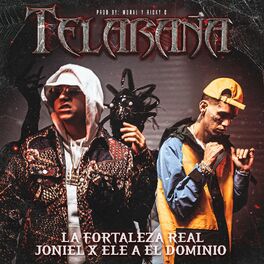 Album cover of Telaraña