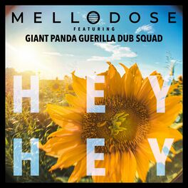 Album cover of Hey Hey (feat. Giant Panda Guerilla Dub Squad)