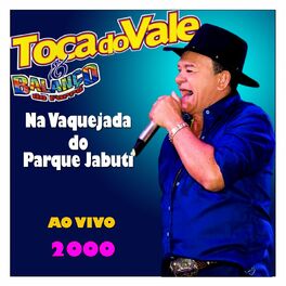 Album cover of NA VAQUEJADA DO PARQUE JABUTI - AO VIVO 2000