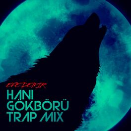 Album picture of Hani Gökbörü (Trap Mix)