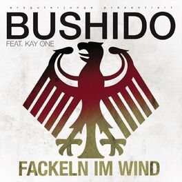 Album cover of Fackeln im Wind 2010