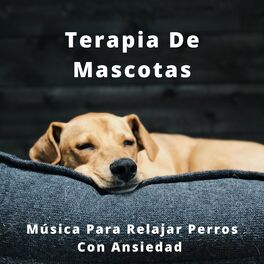 Album cover of Terapia De Mascotas: Música Para Relajar Perros Con Ansiedad