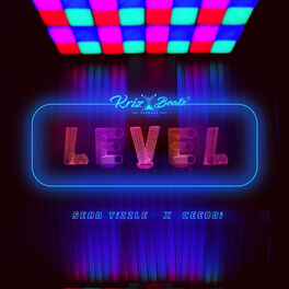 Album cover of Level