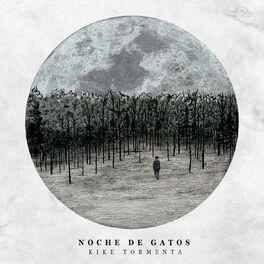 Album cover of Noche de Gatos