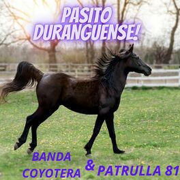 Album cover of Pasito Duranguense!