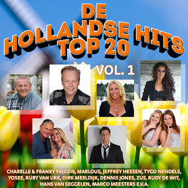 Album cover of De Hollandse Hits Top 20 vol. 1
