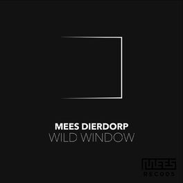 Album cover of Wild Window