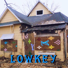 Album cover of Lowkey (feat. Hi-Lo)