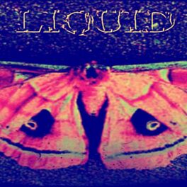 Album cover of Liquid