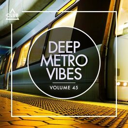 Album cover of Deep Metro Vibes, Vol. 45