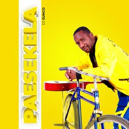 Album cover of Paesekela