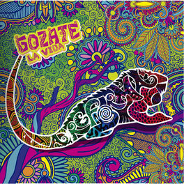 Album cover of Gózate la Vida