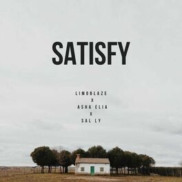 Album cover of Satisfy