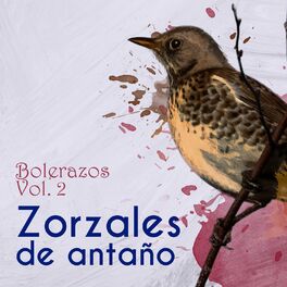 Album cover of Zorzales de Antaño - Bolerazos, Vol. 2
