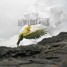 Album cover of New Lost Ages