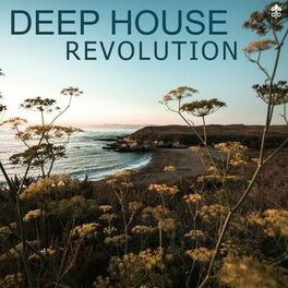 Album cover of Deep House Revolution