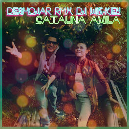 Album cover of Deshojar RMX