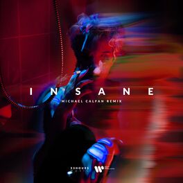 Album cover of Insane (feat. Dominic Neill) (Michael Calfan Remix)