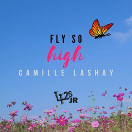 Album cover of Fly So High