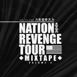 Album cover of Revenge Tour (Street Promo)