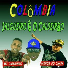 Album cover of Colômbia Salgueiro É o Caldeirão