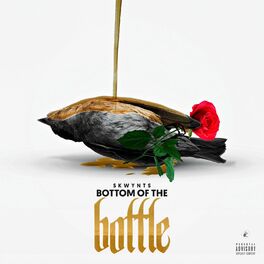 Album cover of Bottom of the Bottle
