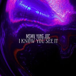 Album cover of I Know You See It
