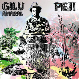 Album cover of Peji