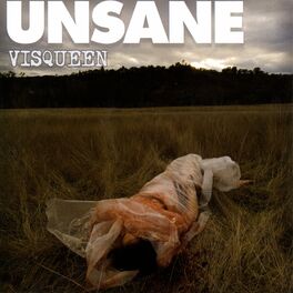 Album cover of Visqueen