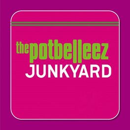 Album cover of Junkyard