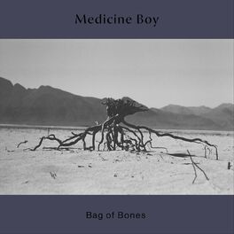 Album cover of Bag of Bones