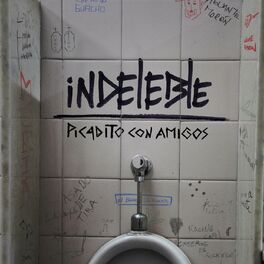Album cover of Picadito Con Amigos